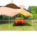King Canopy Universal Canopy   554770858